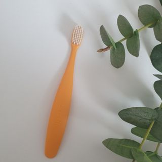 톰티님이 올린 리뷰 사진 4