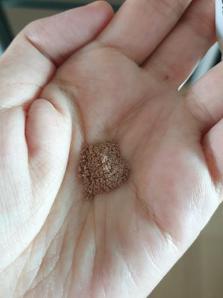 대추맘님이 올린 리뷰 사진 3