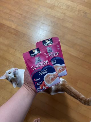 봄님이 올린 리뷰 사진 2