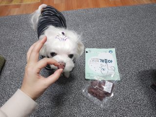 My Pet Care 천연단백질 눈건강에 개좋아 — 5점을 준 리뷰어가 2021년 1월 올린 사용 사진
