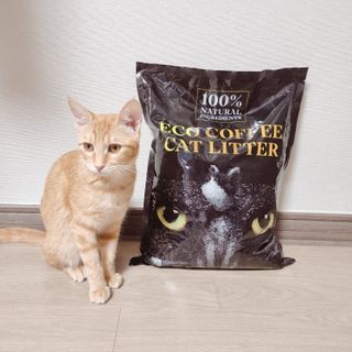 딩디리딩님이 올린 리뷰 사진 2