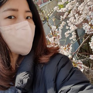 애니가드 셋업메베마스크 (대형 4컬러 + 중형 4컬러) — 5점을 준 리뷰어가 2022년 4월 올린 사용 사진