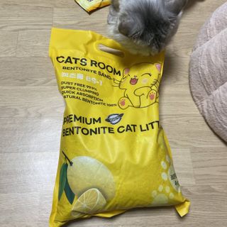 겟플렉스 켓플렉스 캣츠룸BS-1 고양이모래 4kg — 4점을 준 리뷰어가 2021년 1월 올린 사용 사진