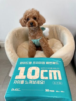 아베크 펫 와이드 프리미엄 대형 애견 강아지 배변 패드 30매 1팩 80g — 5점을 준 리뷰어가 2021년 7월 올린 사용 사진