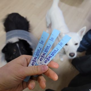 My Pet Care 장건강에 개좋아 — 5점을 준 리뷰어가 2021년 1월 올린 사용 사진