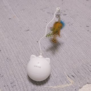 유햐님이 올린 리뷰 사진 2