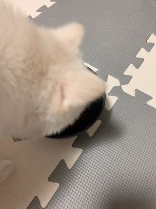 순덕아맘마먹자님이 올린 리뷰 사진 3
