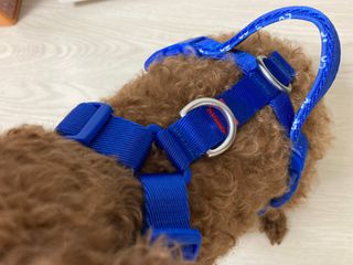 물방울님이 올린 리뷰 사진 3