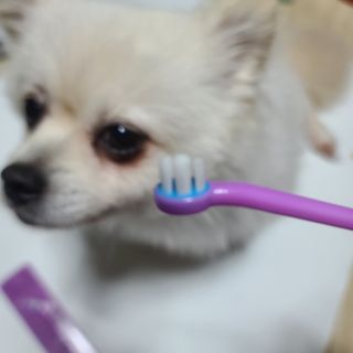 곰같은여우님이 올린 리뷰 사진 1