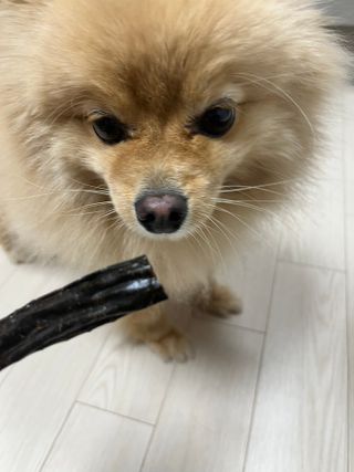 샐리지아님이 올린 리뷰 사진 4