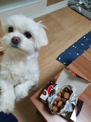 뽀오오옹님이 올린 리뷰 사진 2