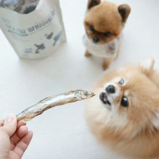 [펫시밀] 원물그대로 영양듬뿍 동결건조 왕북어트릿300g,왕치킨트릿400g,열빙어트릿300g 대용량 간식 — 5점을 준 리뷰어가 2023년 5월 올린 사용 사진