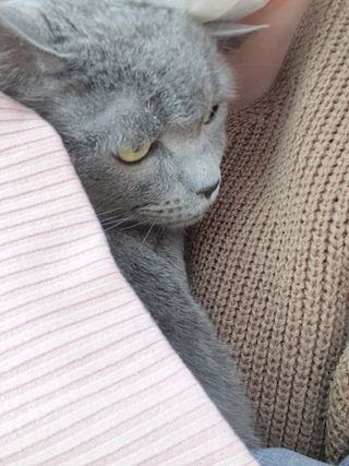 알몽님이 올린 리뷰 사진 3