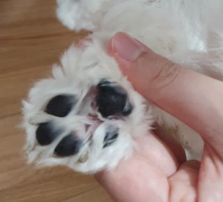 내장산속리산님이 올린 리뷰 사진 3