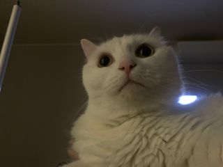 ㄹ진님이 올린 리뷰 사진 3