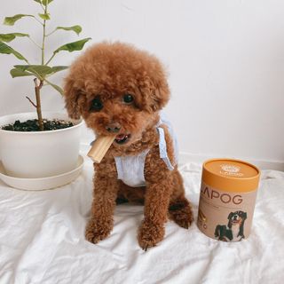 조이님이 올린 리뷰 사진 1