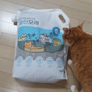 Dal님이 올린 리뷰 사진 3