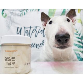 콩콩님이 올린 리뷰 사진 4