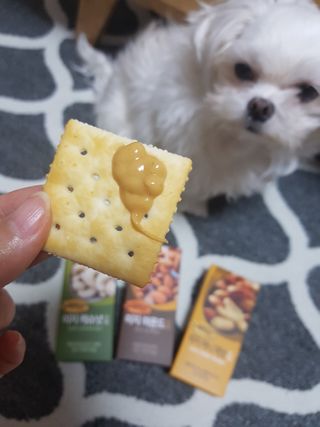 짜먹는 이지견과 짜먹는 이지아몬드, 짜먹는 이지허니피넛, 짜먹는 이지캐슈넛 각 10g X  10포 — 5점을 준 리뷰어가 2021년 2월 올린 사용 사진