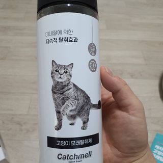 동주맘님이 올린 리뷰 사진 2