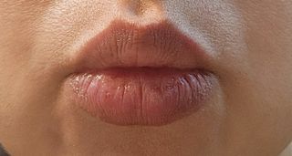 틱톡 [후르디아] 튼입술해결템 올리브영 블루베리 하이드레이팅 허니 립밤 — 5점을 준 리뷰어가 2024년 3월 올린 사용 사진