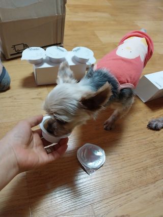 쪼꼬사랑이언니님이 올린 리뷰 사진 4