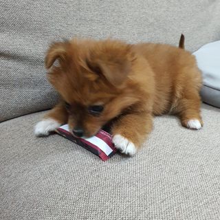 제니구리님이 올린 리뷰 사진 3