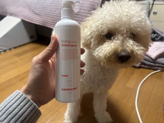 [댕모어 샴푸 2종] 댕샴푸 / 퍼피샴푸  2종 세트 (300ml) — 4.5점을 준 리뷰어가 2023년 11월 올린 사용 사진