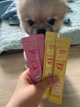 페페로니 잘 먹는 캣츄 - 무항생제 닭고기 12개 + 알래스카 연어 12개 — 5점을 준 리뷰어가 2021년 7월 올린 사용 사진