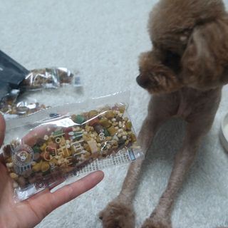 복깨비님이 올린 리뷰 사진 2