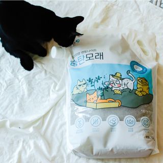 2019yaap님이 올린 리뷰 사진 1