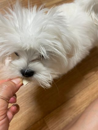 ck9kjoscyki님이 올린 리뷰 사진 1