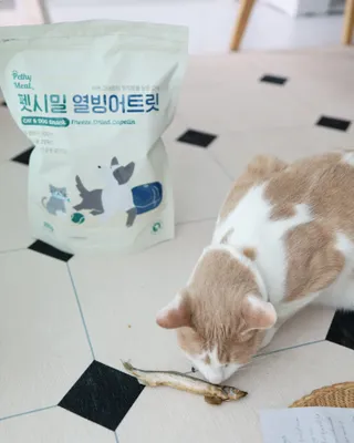 달바라기님이 올린 리뷰 사진 1
