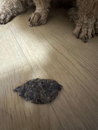 하니에요님이 올린 리뷰 사진 1