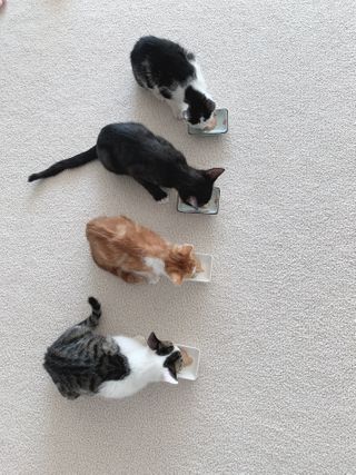 오둥이맘님이 올린 리뷰 사진 4