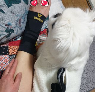 페키아름님이 올린 리뷰 사진 4