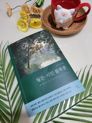 미인도시님이 올린 리뷰 사진 2