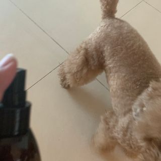 코끼리님이 올린 리뷰 사진 2