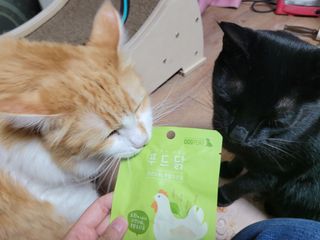도그퓨어 푸드닭 강아지 닭고기 통살 애견간식 오리지널/차전자피/초록입홍합 — 4점을 준 리뷰어가 2021년 11월 올린 사용 사진