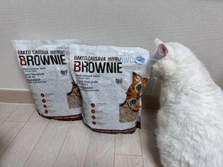 브라우니모래 [브라우니] 고양이 카사바모래 브라우니 천연 응고형 모래  6Lx2개 — 4.5점을 준 리뷰어가 2023년 11월 올린 사용 사진