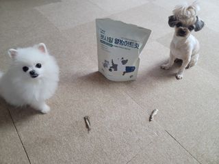 [펫시밀] 원물그대로 영양듬뿍 동결건조 왕북어트릿300g,왕치킨트릿400g,열빙어트릿300g 대용량 간식 — 5점을 준 리뷰어가 2023년 5월 올린 사용 사진