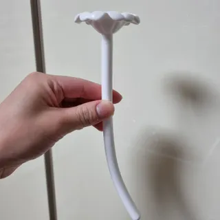 100L님이 올린 리뷰 사진 2