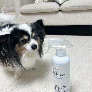 HaejinSeung님이 올린 리뷰 사진 3