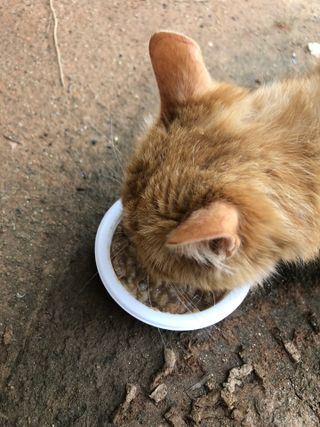 장현주님이 올린 리뷰 사진 3