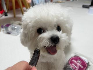 린짱님이 올린 리뷰 사진 4