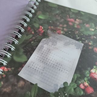 히히호호님이 올린 리뷰 사진 2