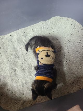 솔비최고❤️님이 올린 리뷰 사진 4