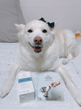 펫21 그로그로 5종 강아지 고양이 반려동물 한방 영양제 — 5점을 준 리뷰어가 2021년 11월 올린 사용 사진