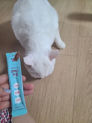 페페로니 잘 먹는 캣츄 - 원양선 참치 24개입 — 5점을 준 리뷰어가 2021년 8월 올린 사용 사진
