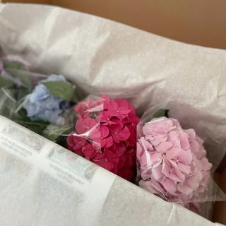 예블리예님이 올린 리뷰 사진 3